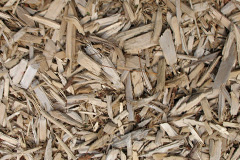 biomass boilers Ardentinny